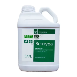 Вентура