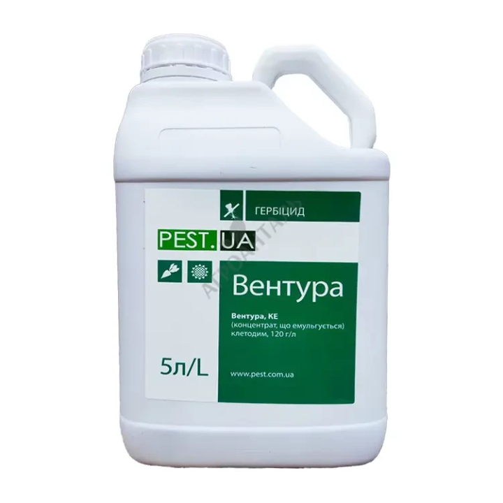Вентура
