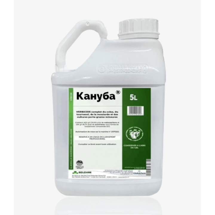 Кануба