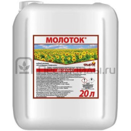 Молот