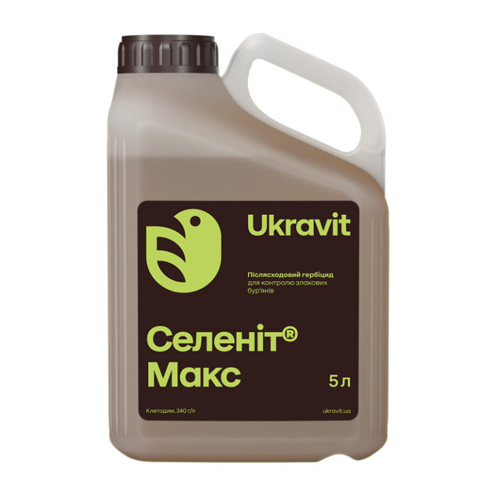 Селеніт