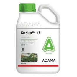 Каліф 480