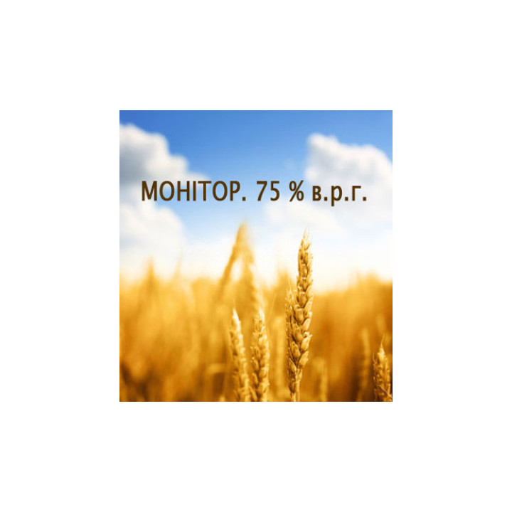 Монітор 750