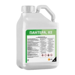 Пантера к.е.