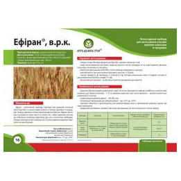 Ефіран в.р.к.