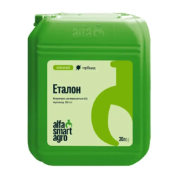 ЕТАЛОН