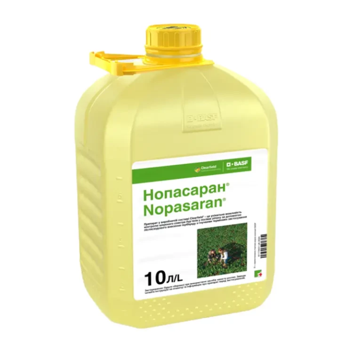 НОПАСАРАН К.С.