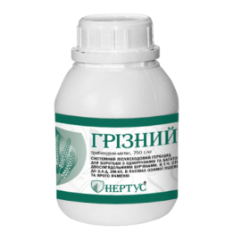 Грізний