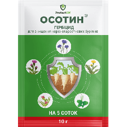 ОСОТИН В.Г.