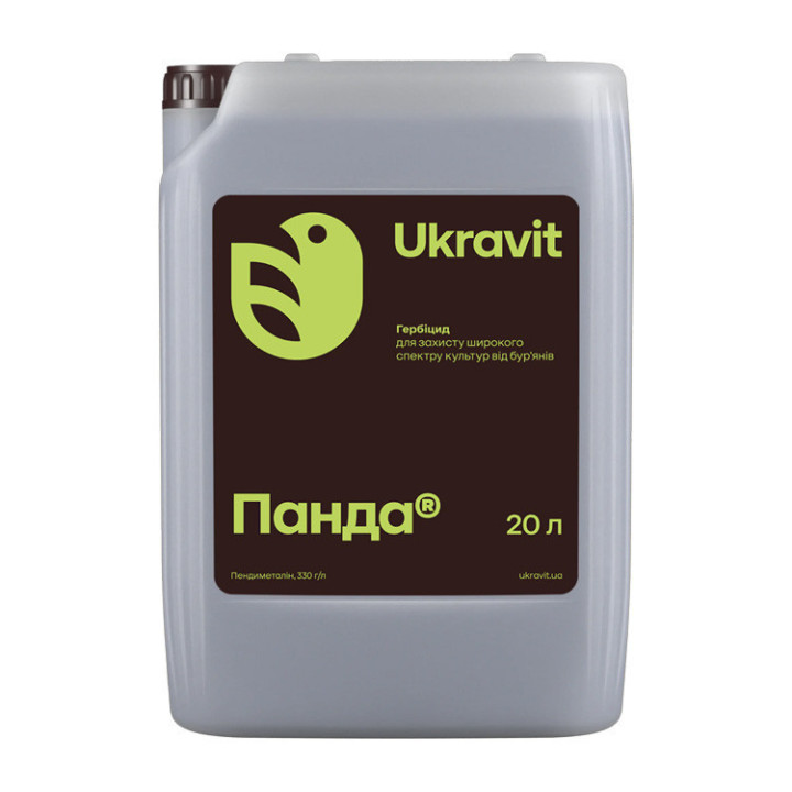 Панда