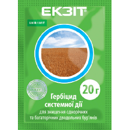 ЕКЗІТ