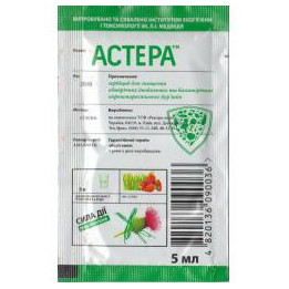 АСТЕРА, в.р.