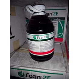 Гоал 2F