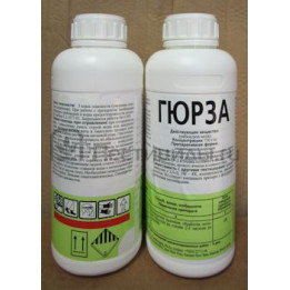 ГЮРЗА З.П.