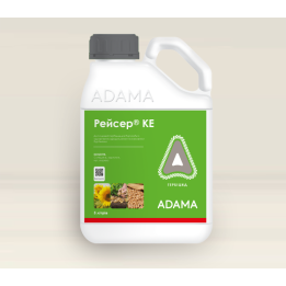 РЕЙСЕР К.Е.