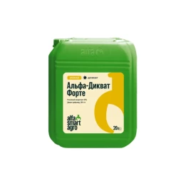 ДИК