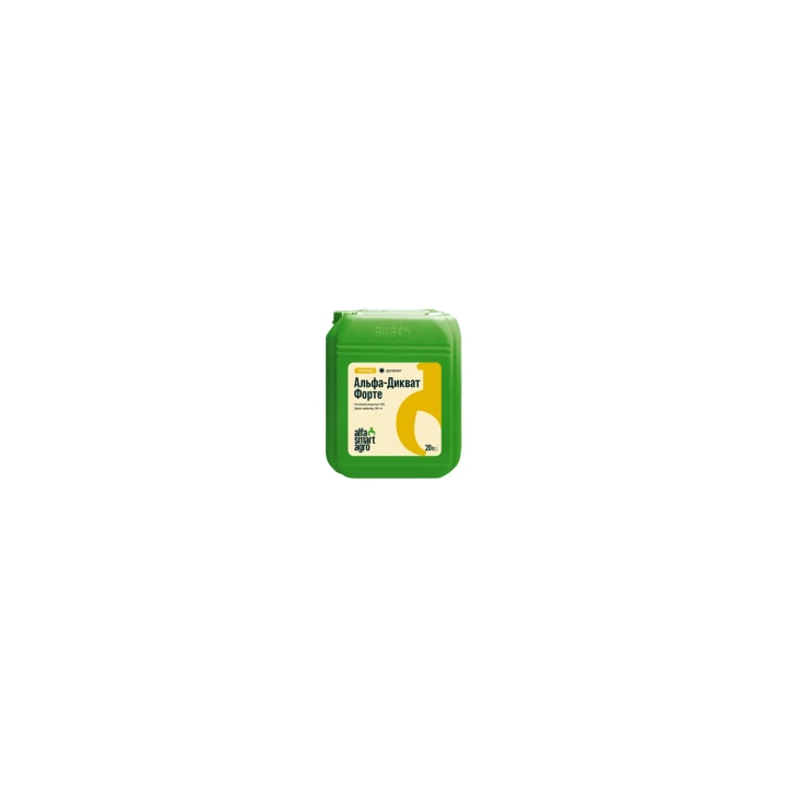 ДИК