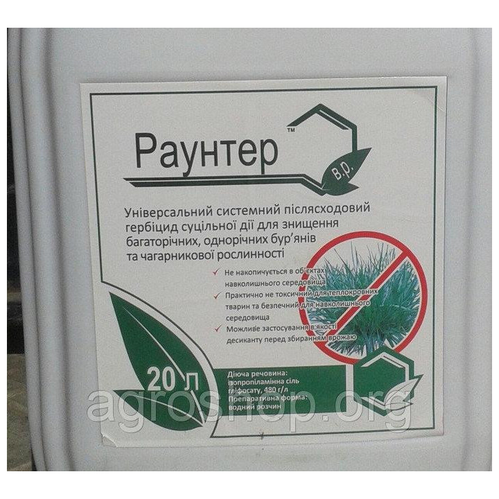 РАУНТЕР