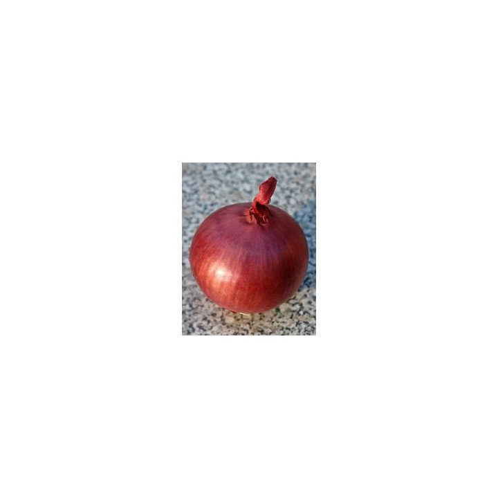 Грейтфул Ред F1 / Grateful Red F1