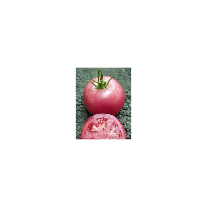 Пинк Уникум F1 / Pink Unicum F1