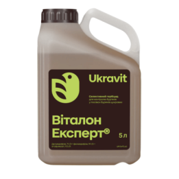ВІТАЛОН ЕКСПЕРТ