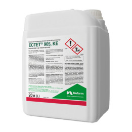 ЕСТЕТ 905