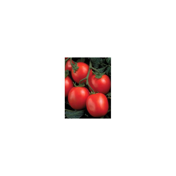 Перфектпил F1 / Perfectpeel F1