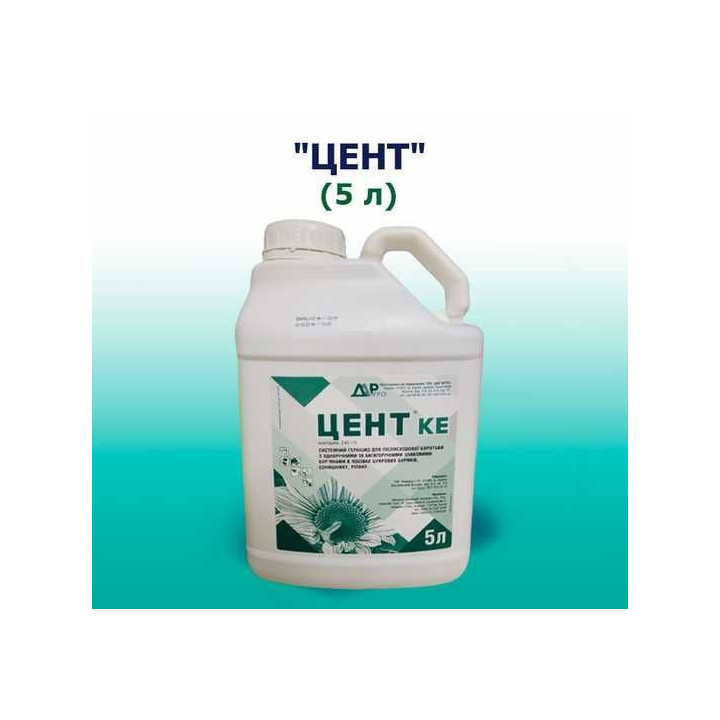 Централь, КЕ