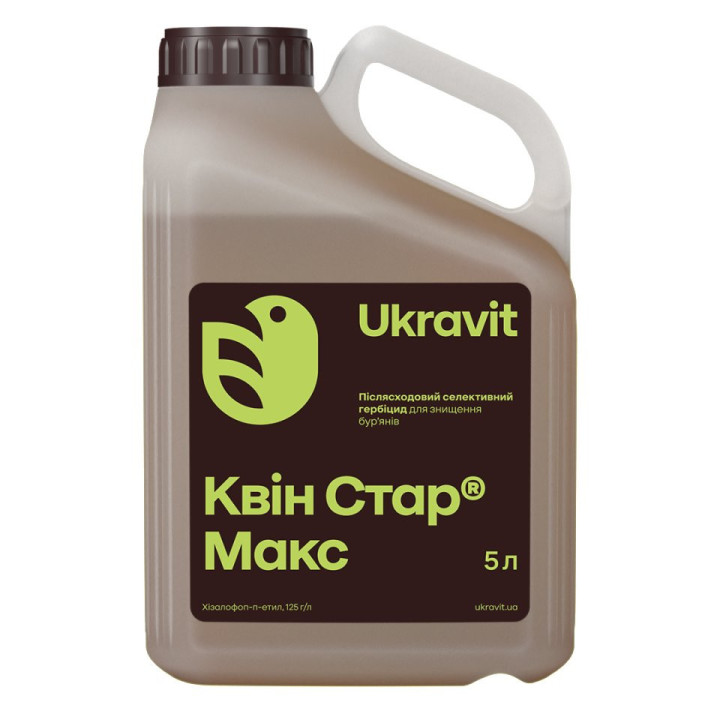 КВІН СТАР МАКС