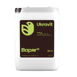 ВАРЯГ