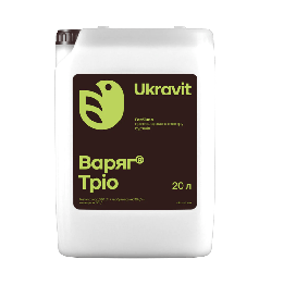 ВАРЯГ ТРІО, СЕ
