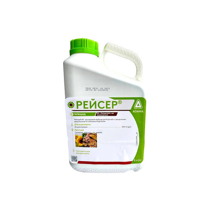 Рейсер