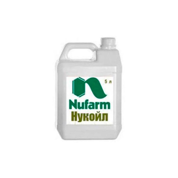 Нукойл, МД