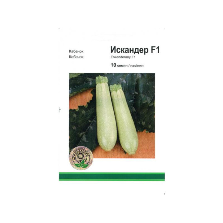 Искандер F1 / Eskanderany F1