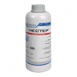 Честер, ВГ