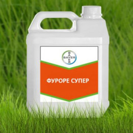 Фуроре Супер EW, ЕВ