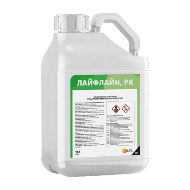 ГЛІАЦИНТ