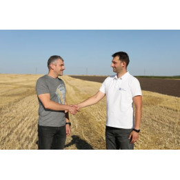 Кінкел, ВГ (Нікосульфурон, 150 г/кг + дикамба, 600 г/кг)