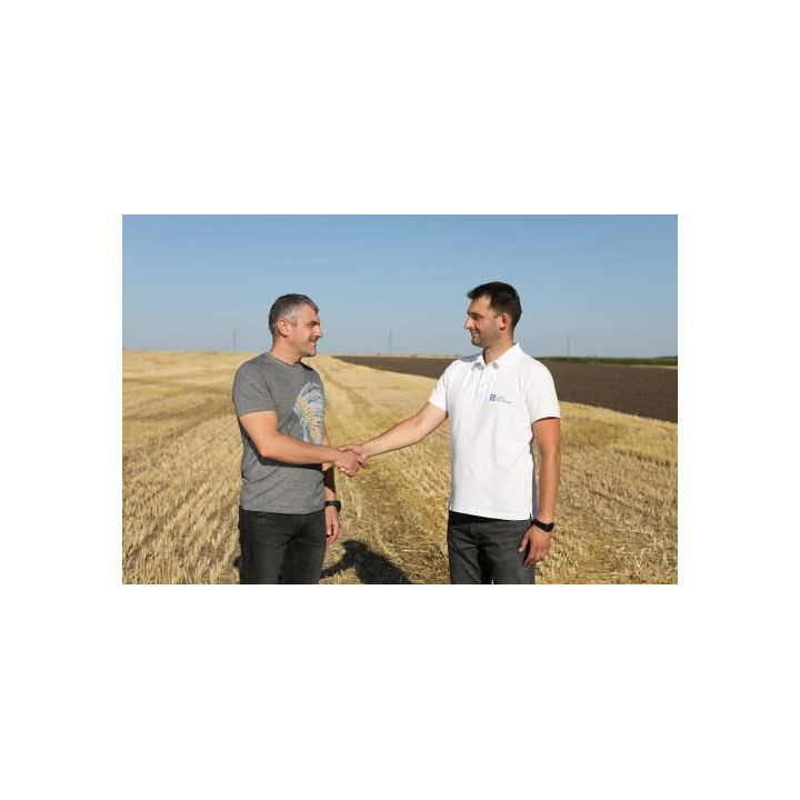 Кінкел, ВГ (Нікосульфурон, 150 г/кг + дикамба, 600 г/кг)