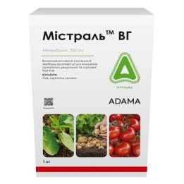 МІСТРАЛЬ ВГ