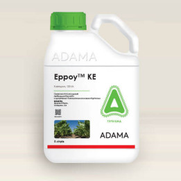Ерроу КЕ
