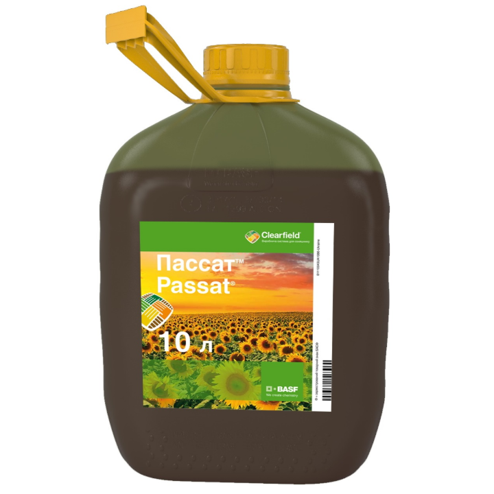 Пассат