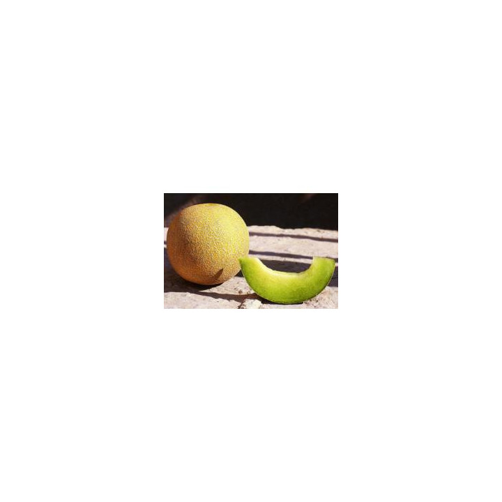 Темпо F1 / Tempo F1