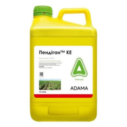 Пендіган КЕ