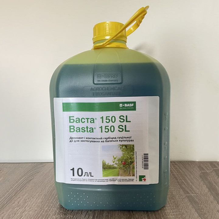 Шпага