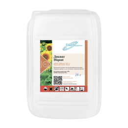 ДІК
