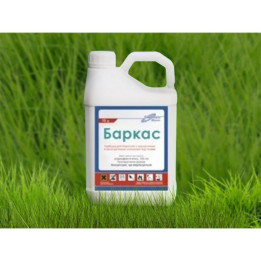 Баркас