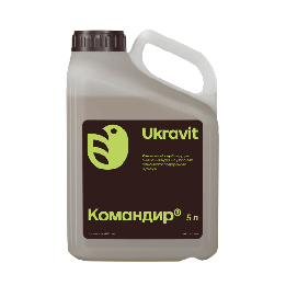 Командор