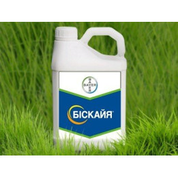 БИСКАЙЯ 240OD
