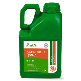 Командор Гранд